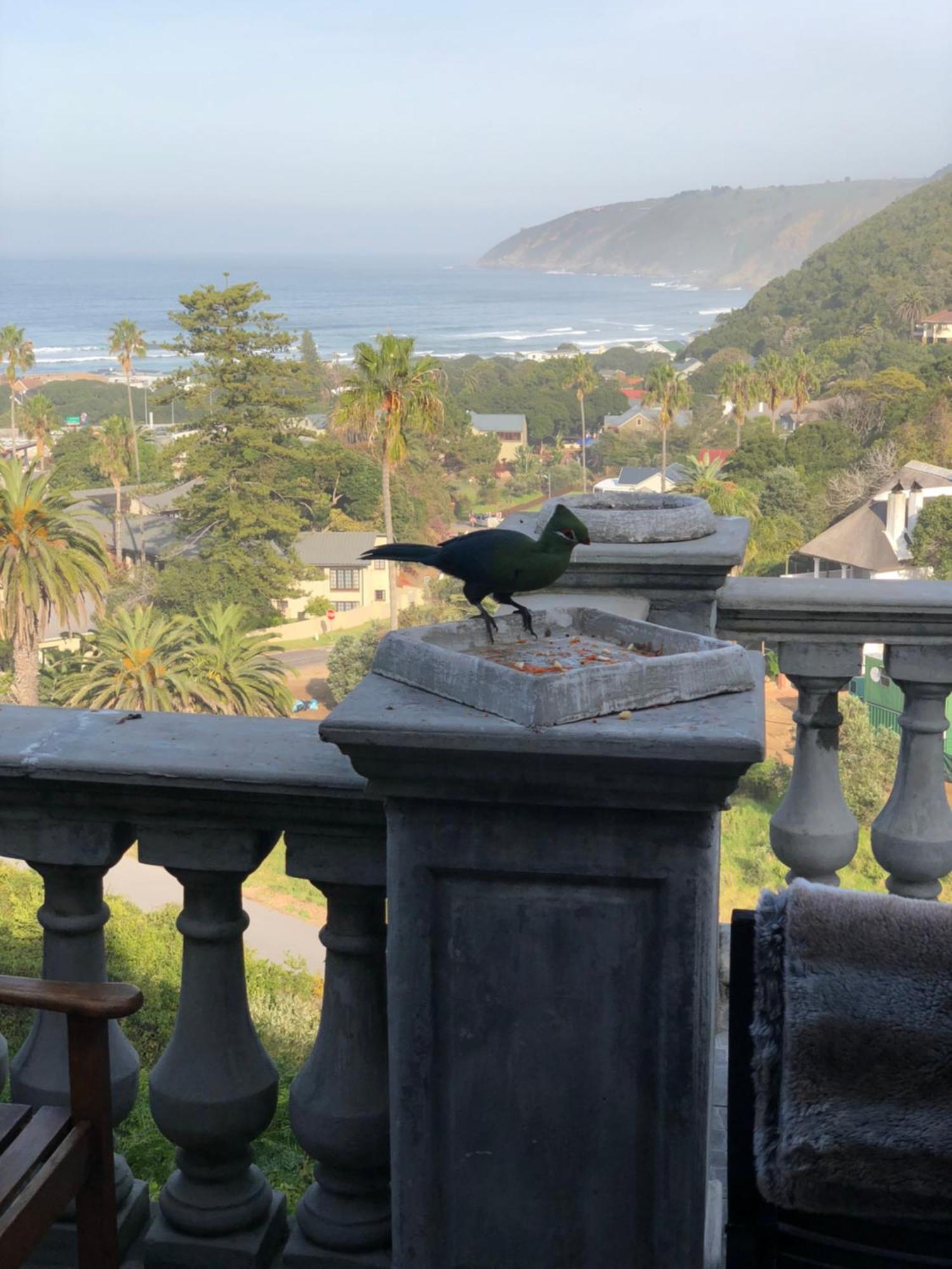 Livingstone Villa Wildernis Exterior foto