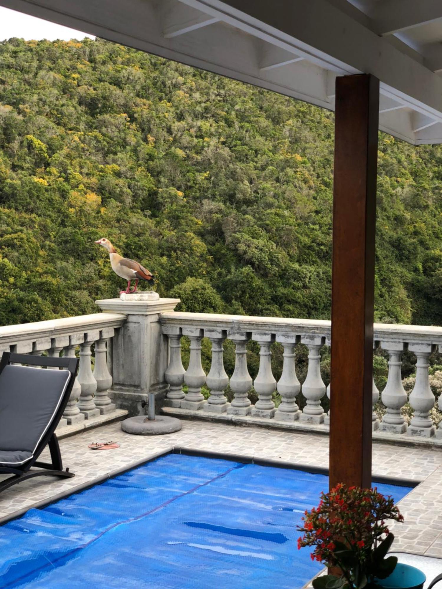 Livingstone Villa Wildernis Exterior foto